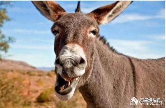 <strong>石墨烯地暖究竟有多好你猜猜？</strong>