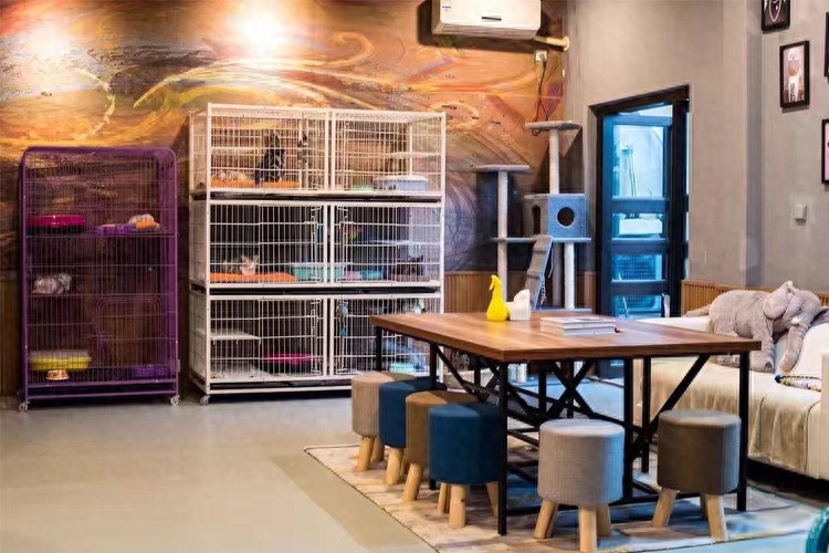 <strong>發(fā)熱電纜用于寵物店冬季保溫取暖</strong>